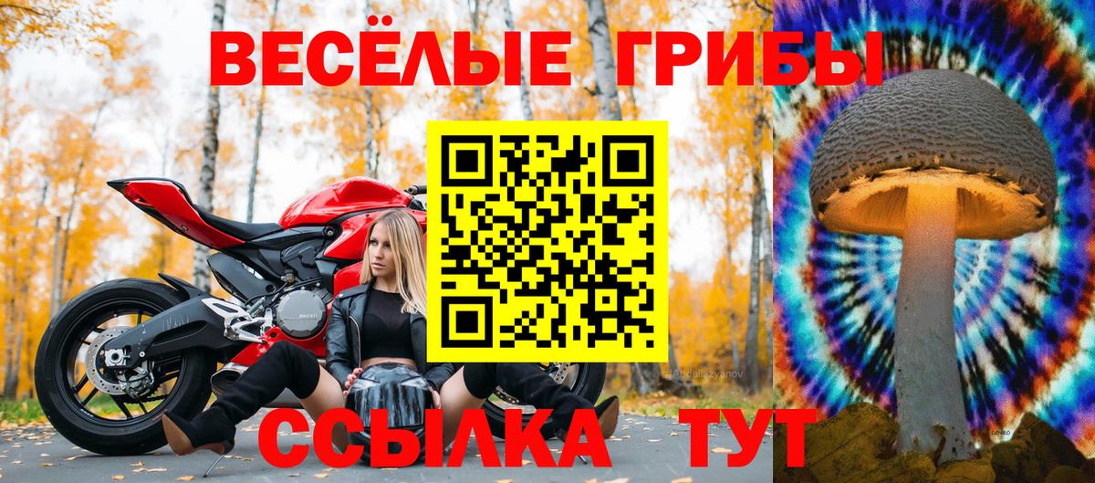 Галлюциногенные грибы прущие грибы Белебей