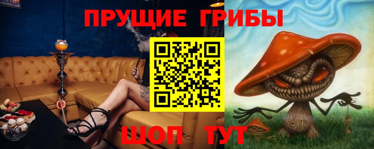 Псилоцибиновые грибы мухоморы  где купить наркоту  Белебей  Вход с VPN 